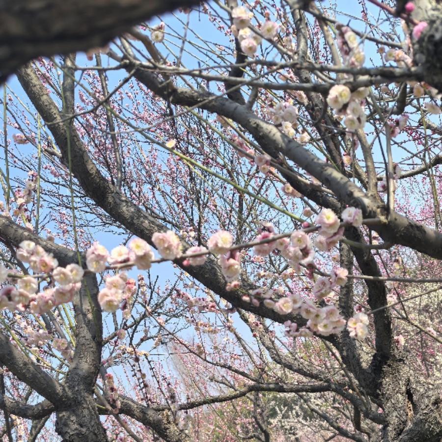 海纳百川