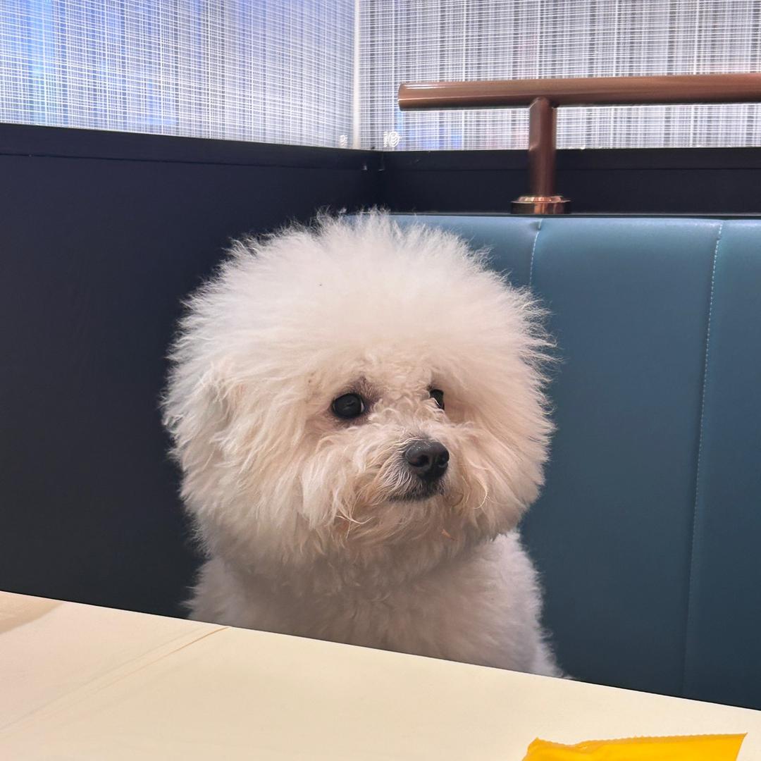 宝宝是一颗小糯米