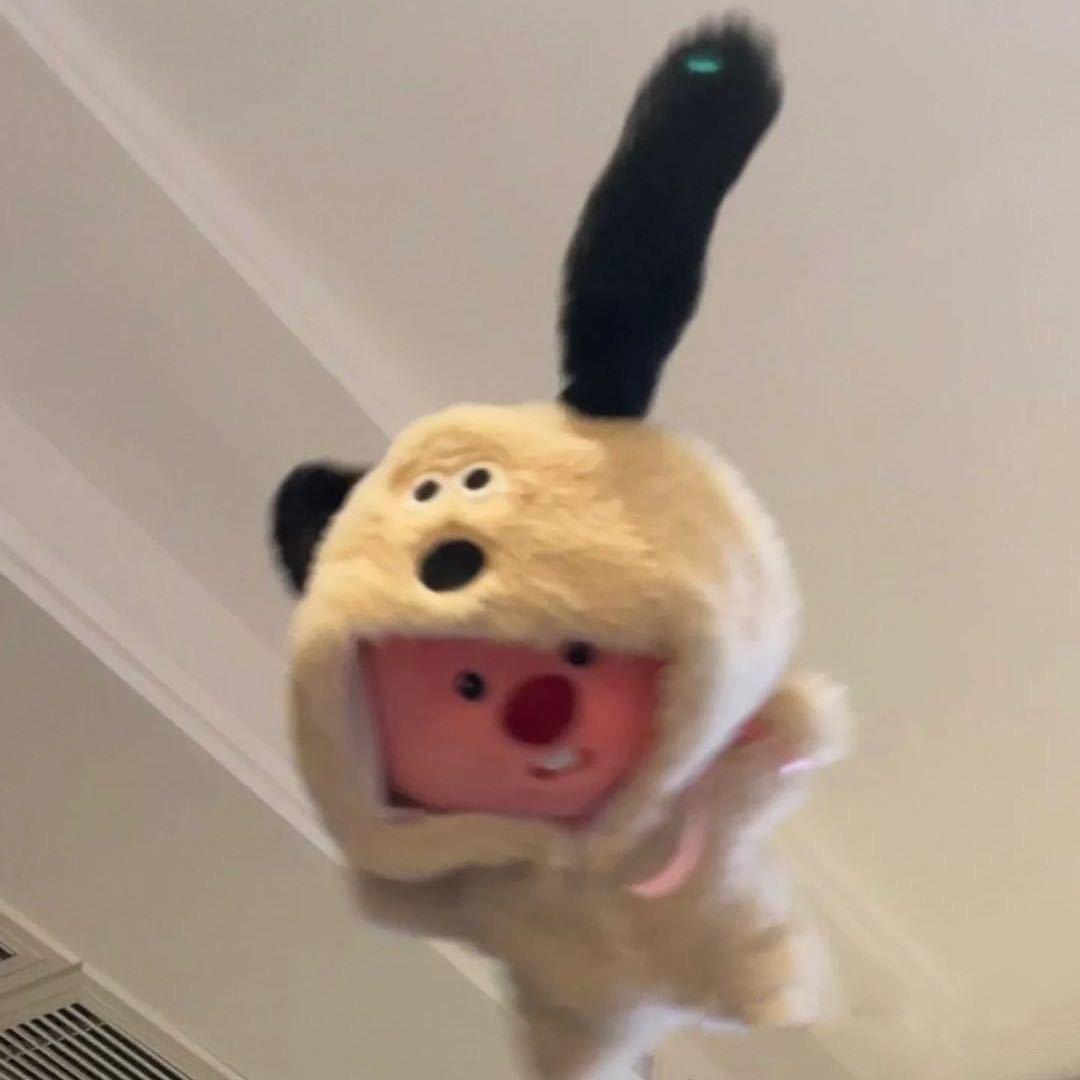 喵喵喵饭了