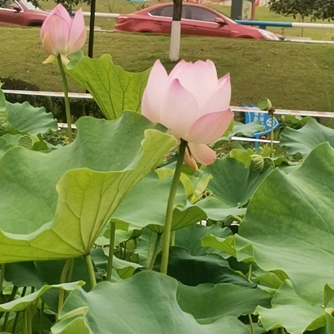 划过指尖的风