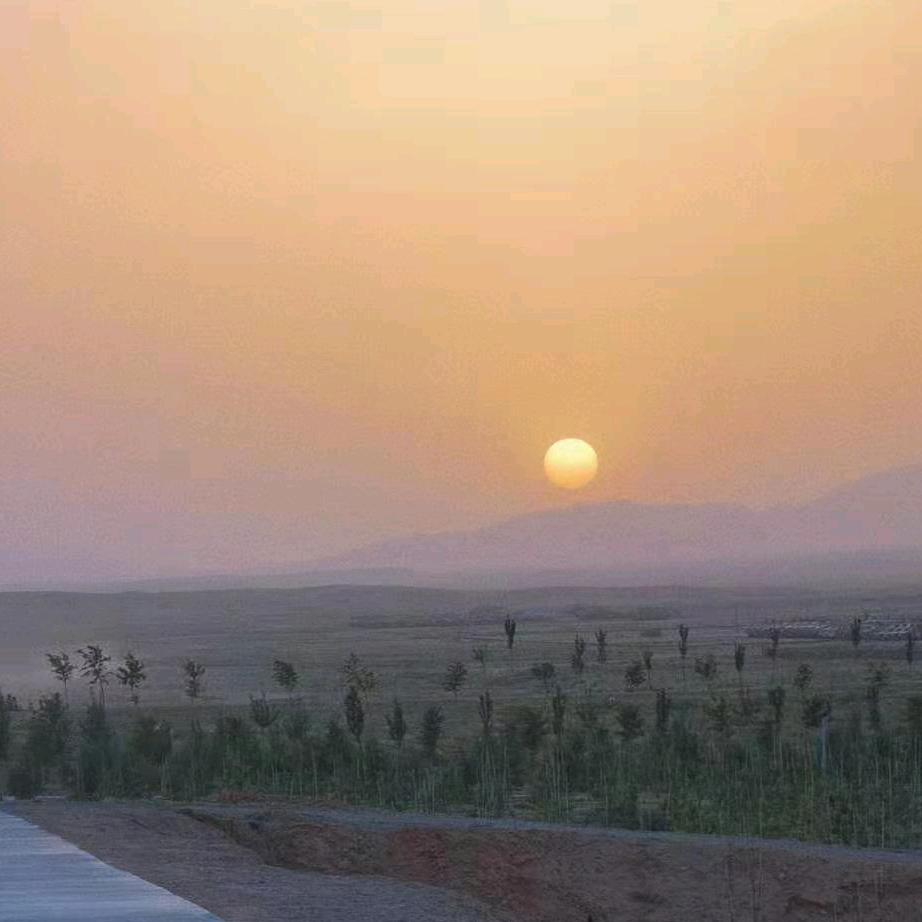 顺其自然的，缘