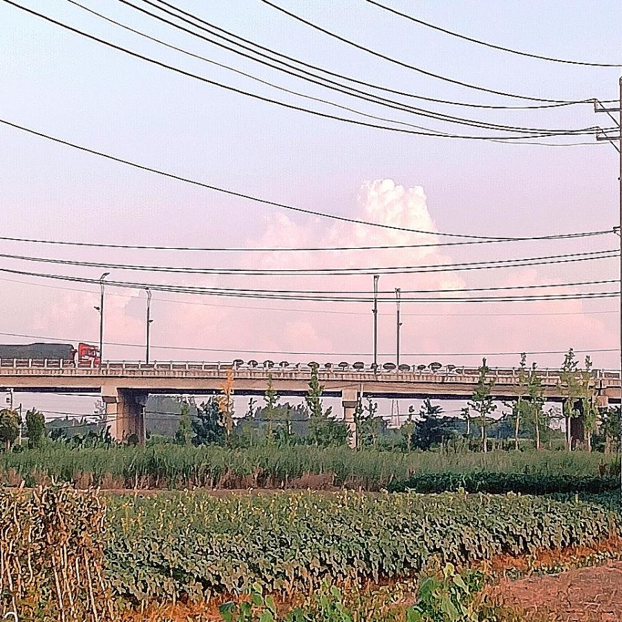 孙翠兰
