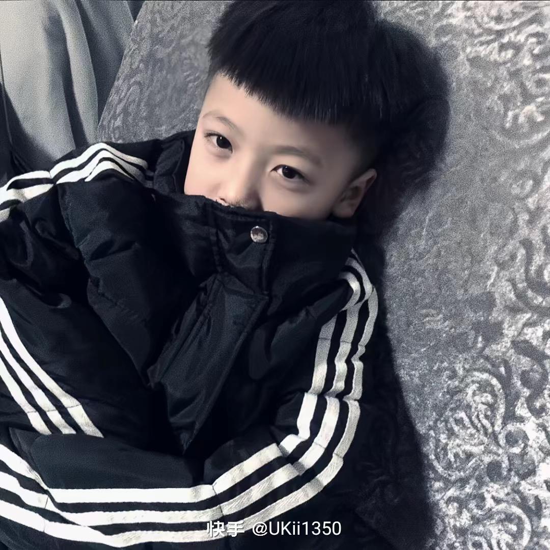 迪迦
