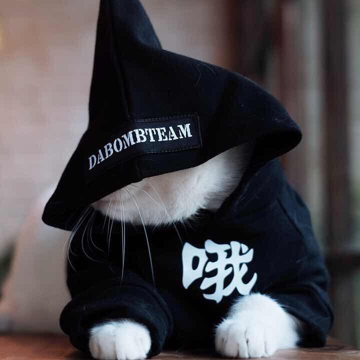 宝哟