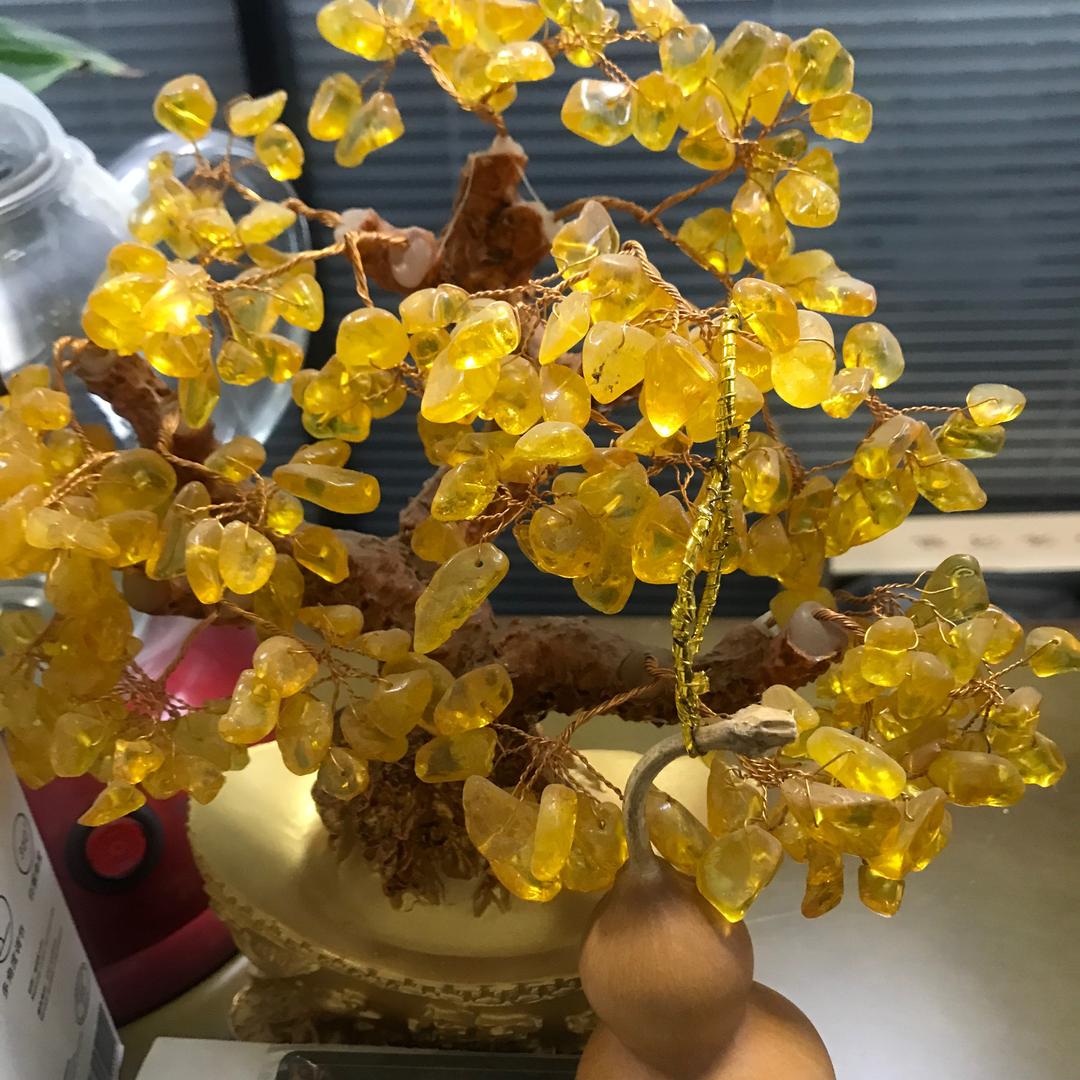 槿南运营二号