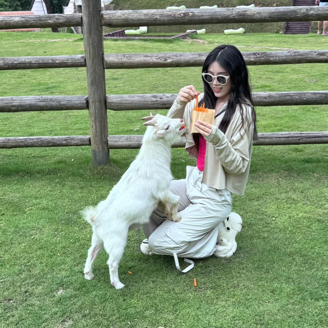 加珍珠不加糖