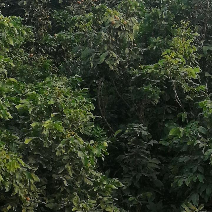 寒冷