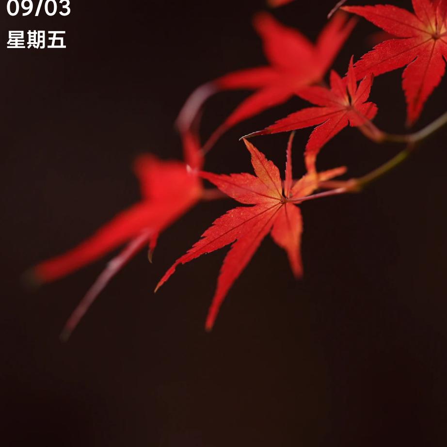 ╭☞( ￣ ▽￣)╭☞