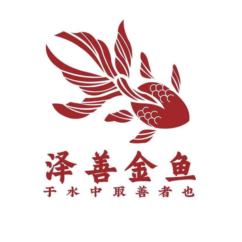 泽善观赏鱼