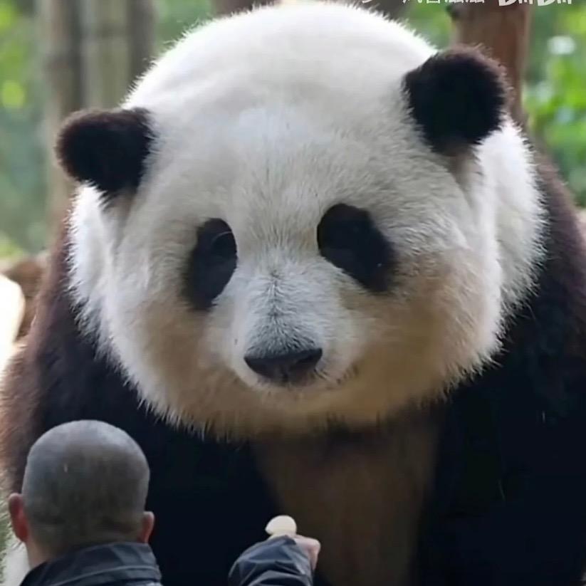此生头像