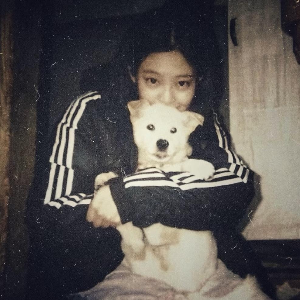 遇.🐾
