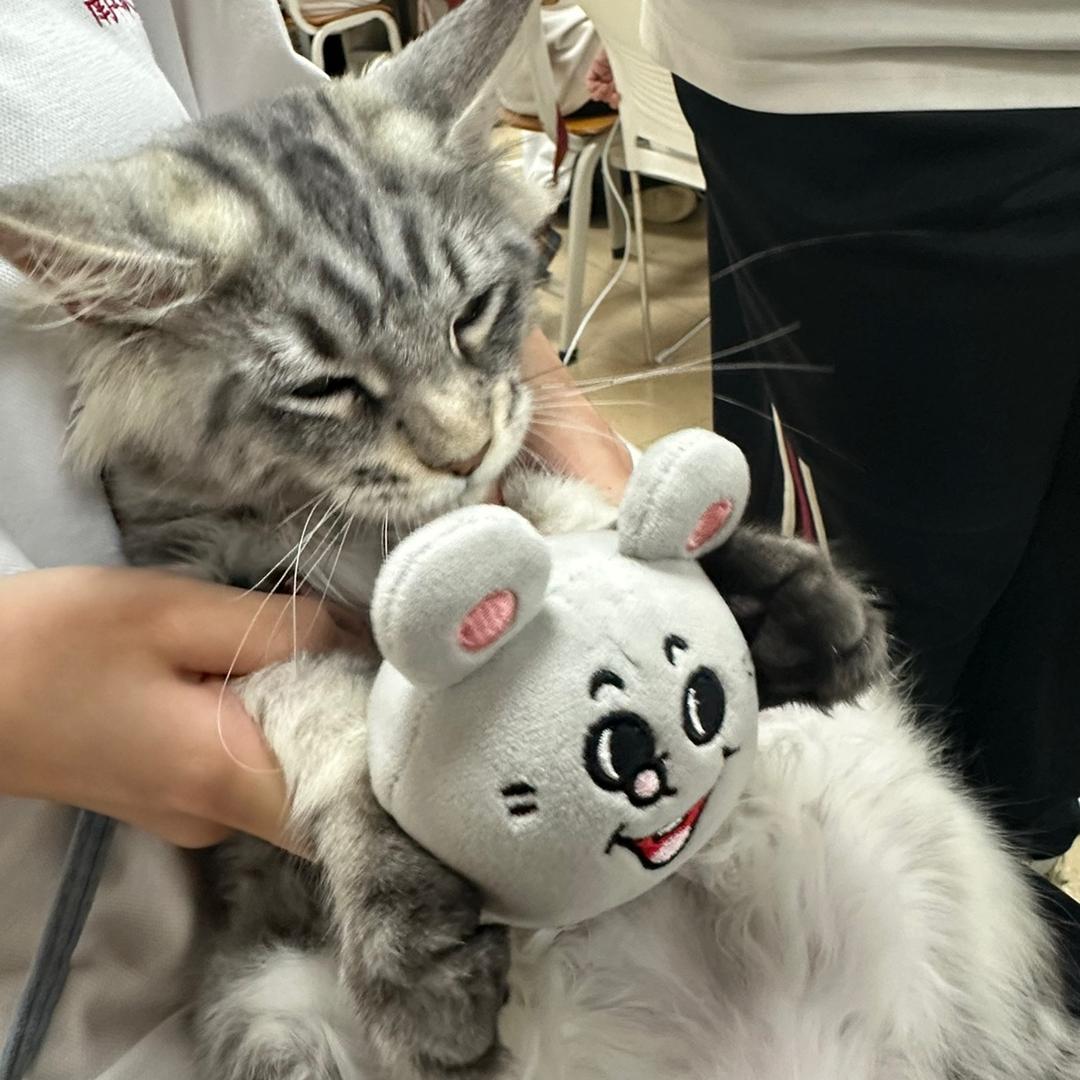 桃花的小姨