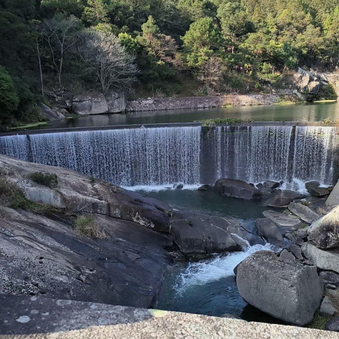 ✨富贵堂黄✨