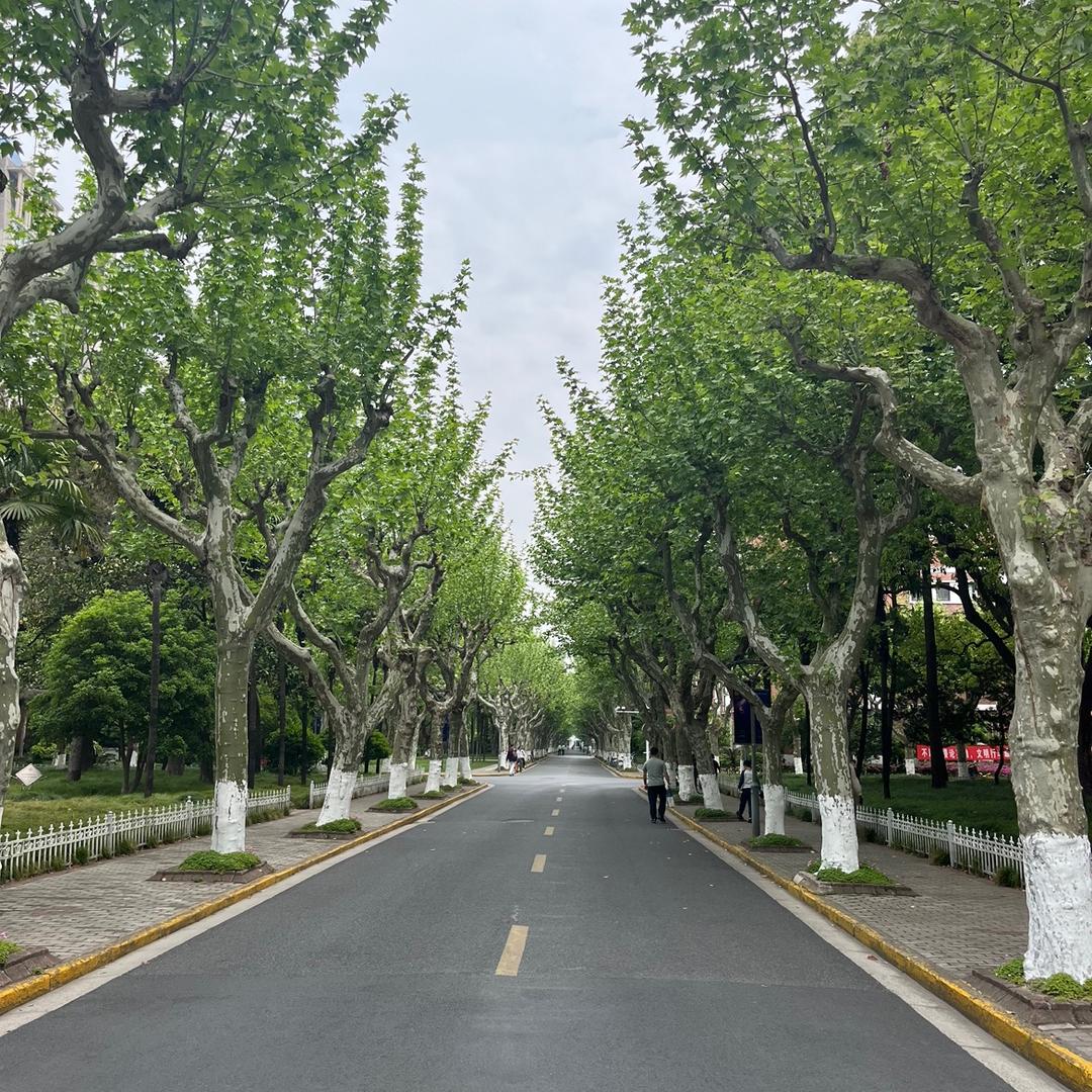 家禾么么