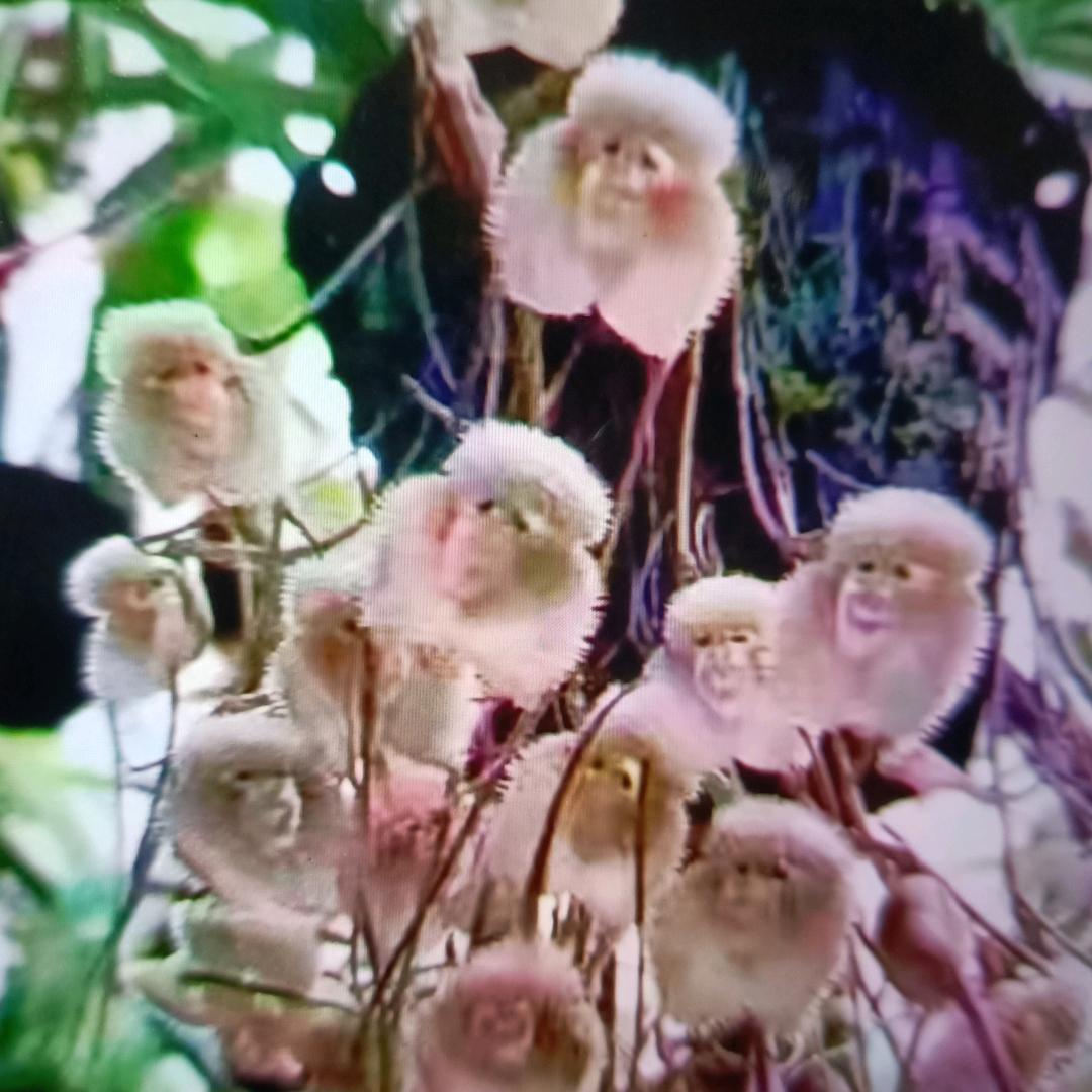 春暖花开