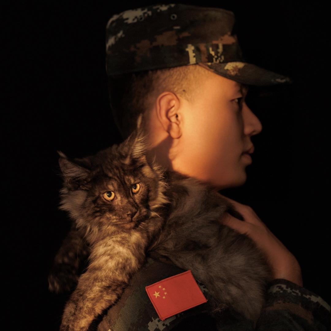 兵哥缅因猫（特战版）
