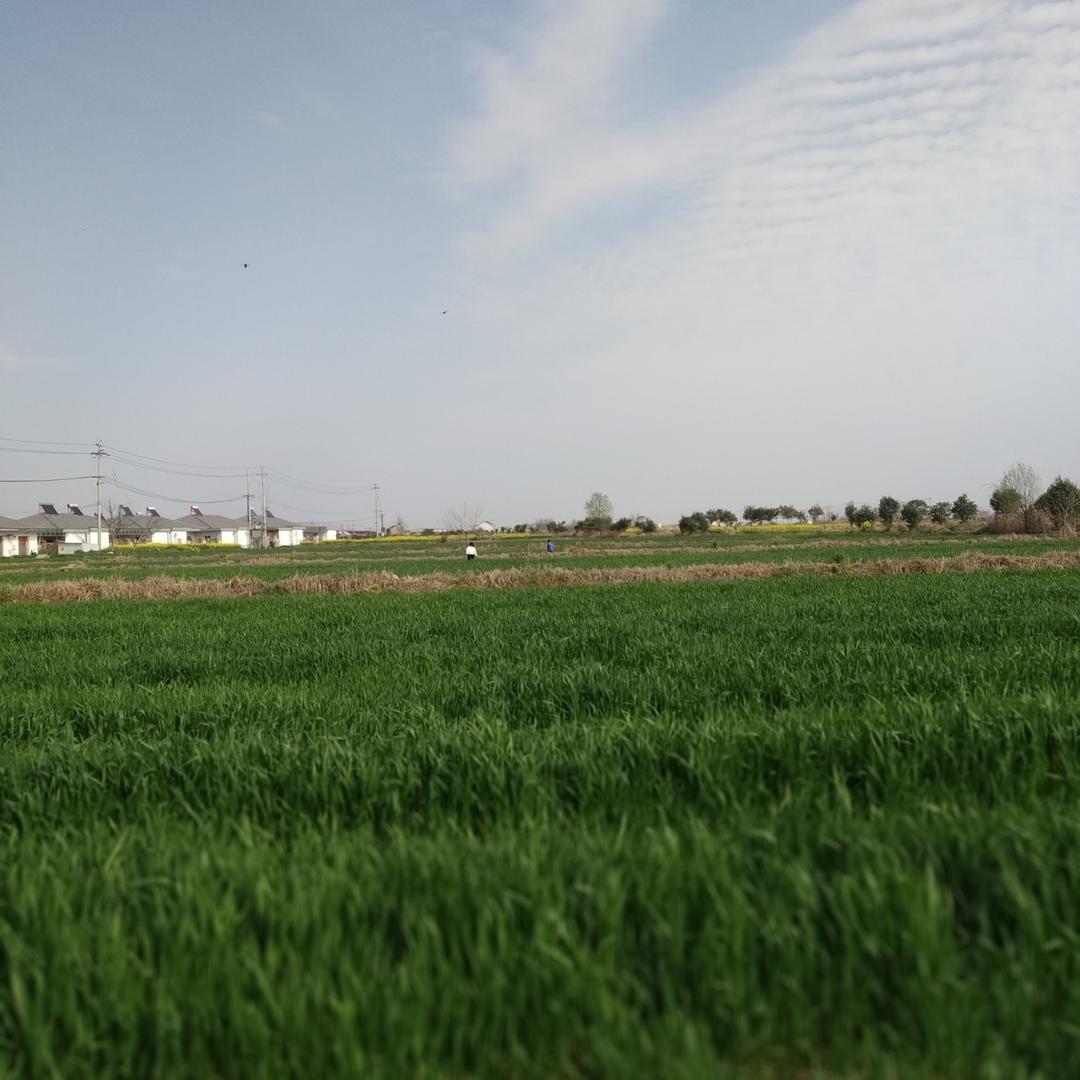 东方明（自学乐器）