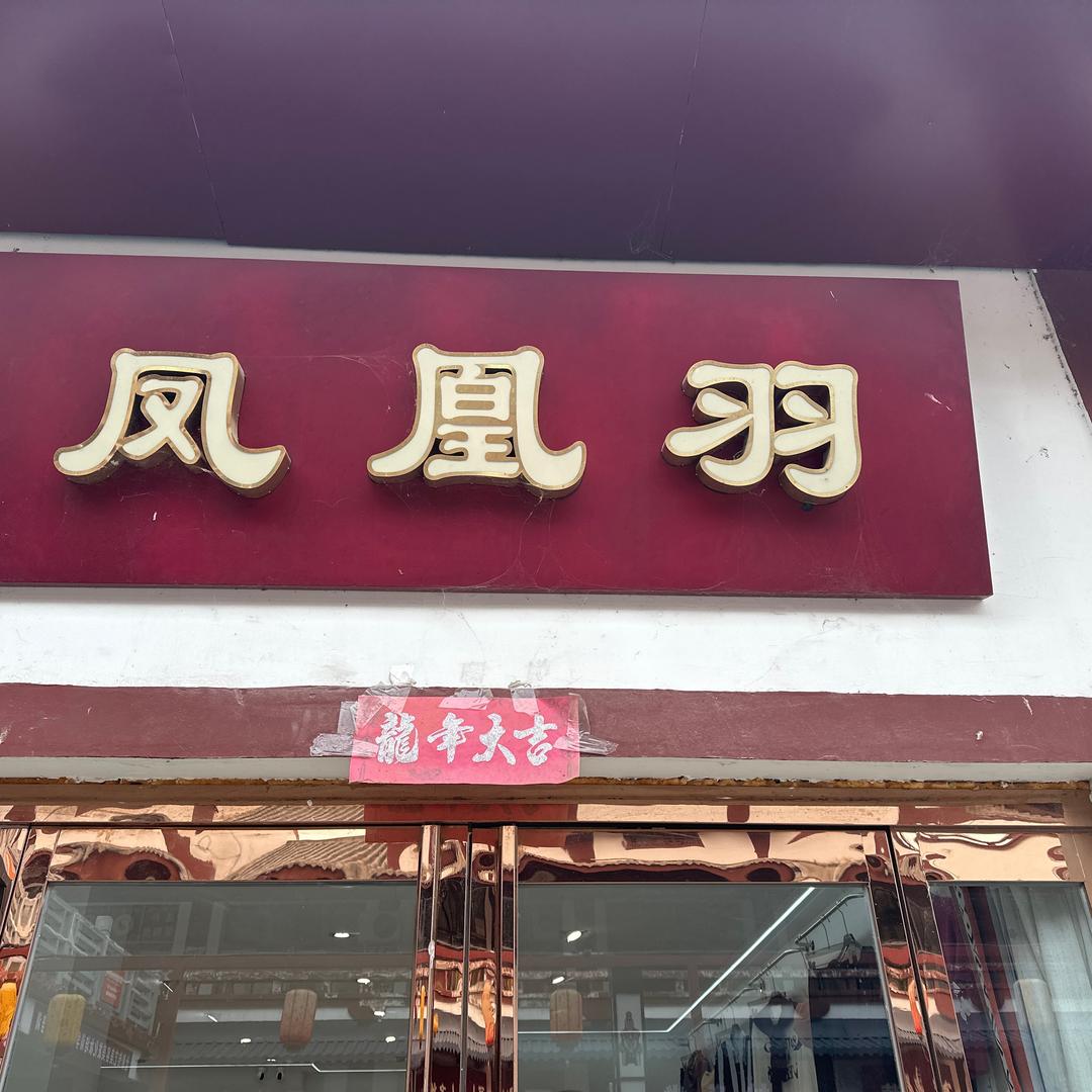 淮阳凤凰羽女装  小娟7