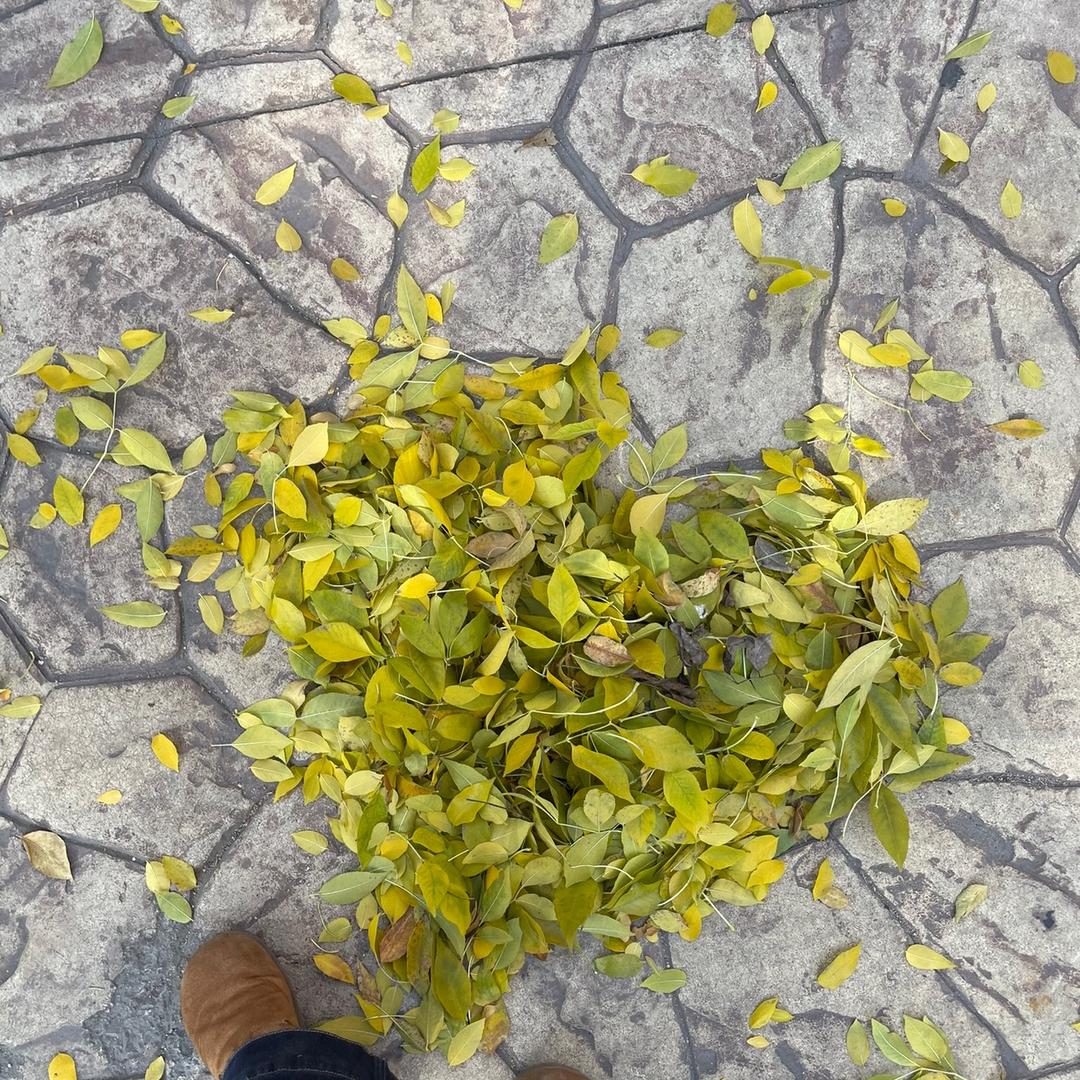 金海湾小薛