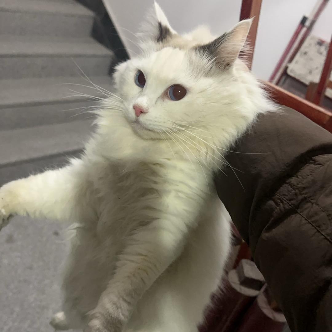 宝贝成长记🐯🐰