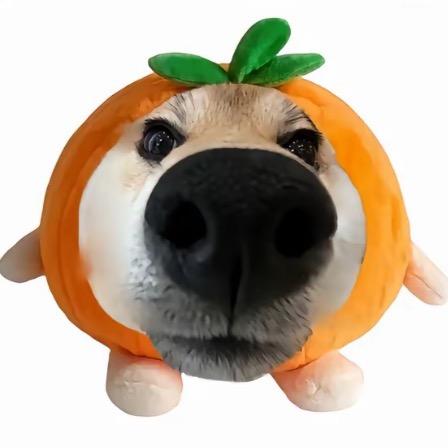 琦子
