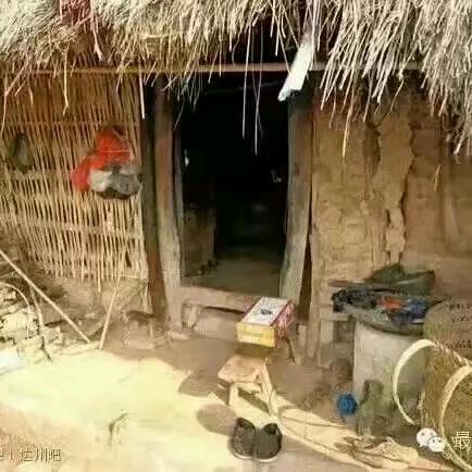 专业各种房屋支木，别墅