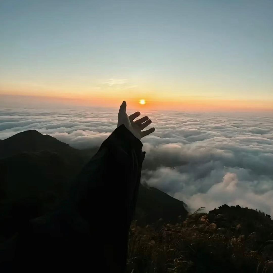 资本家（修仙吃丹）