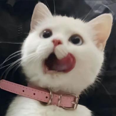 罗德彪