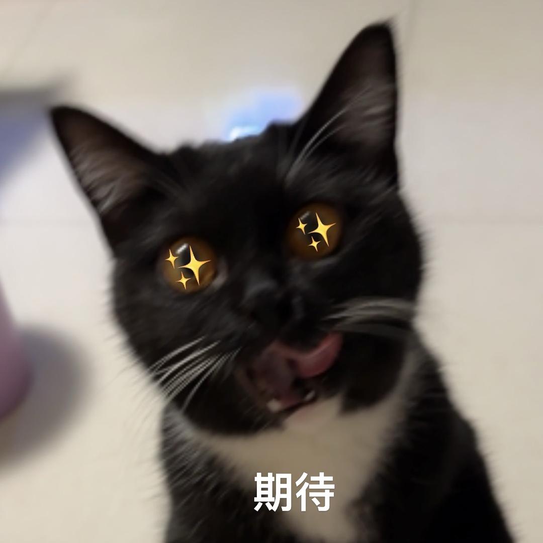 财财要发财💰