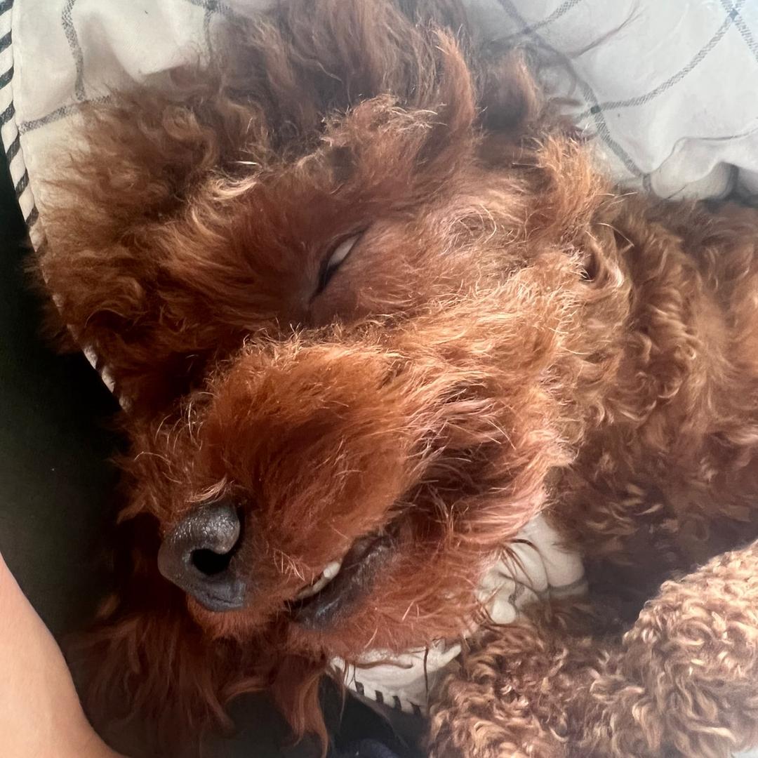 爱我中华虽远必诛