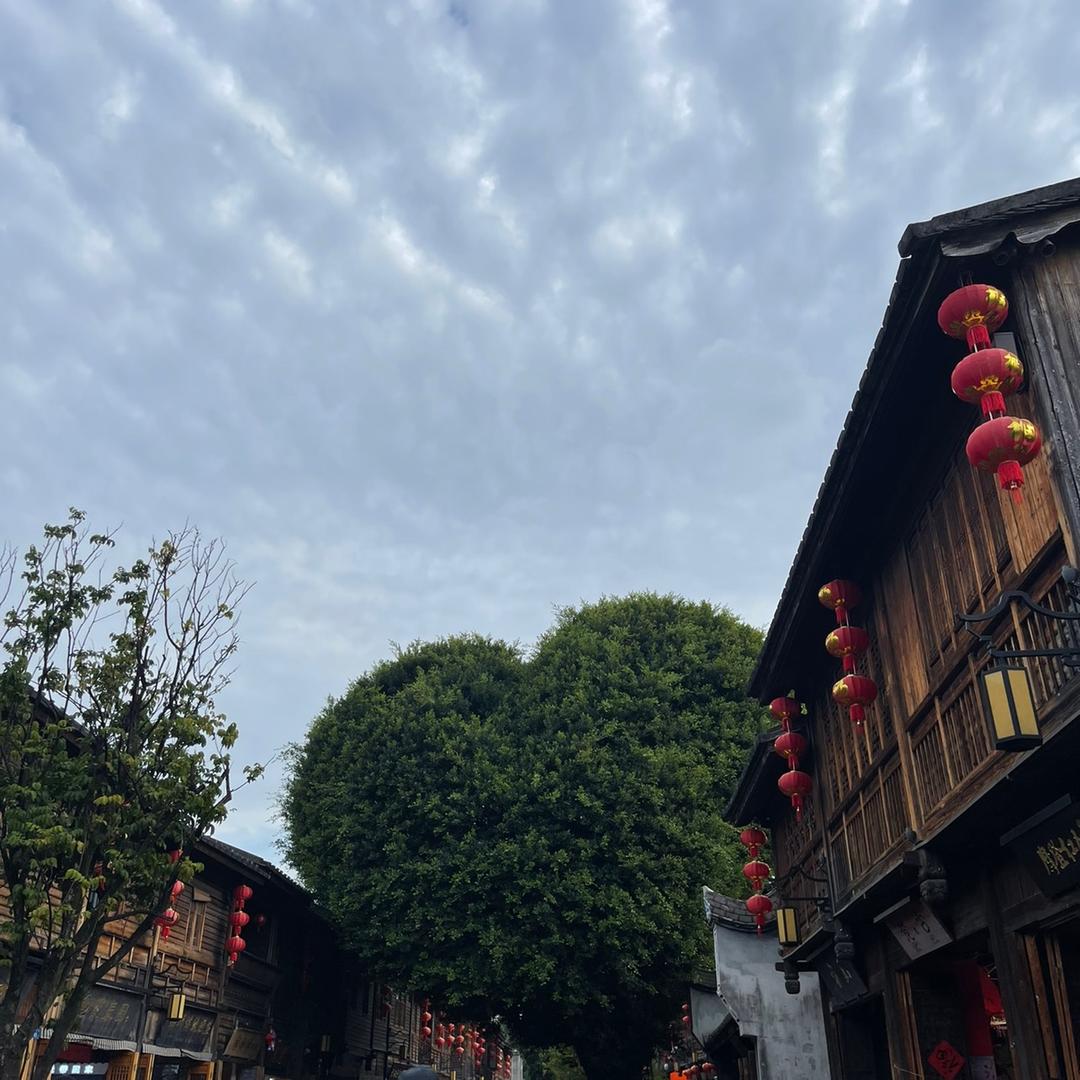 随欲优选