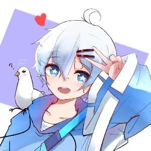 正人君子大白鸽