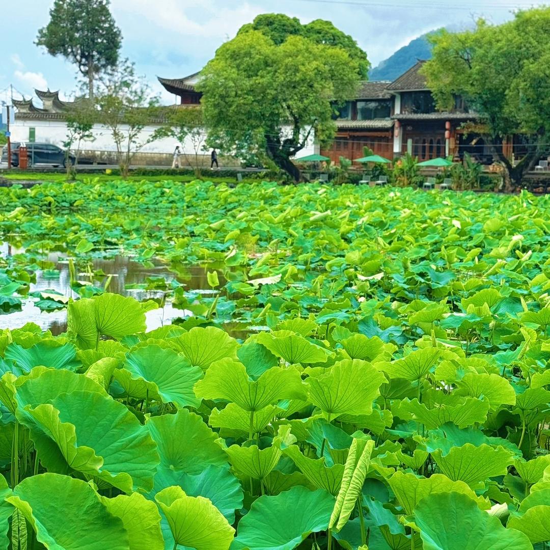 云南边境₃ •宽仔