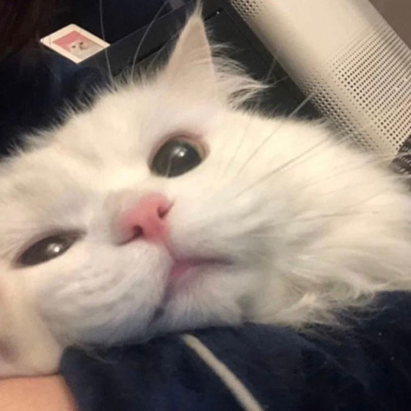慕q