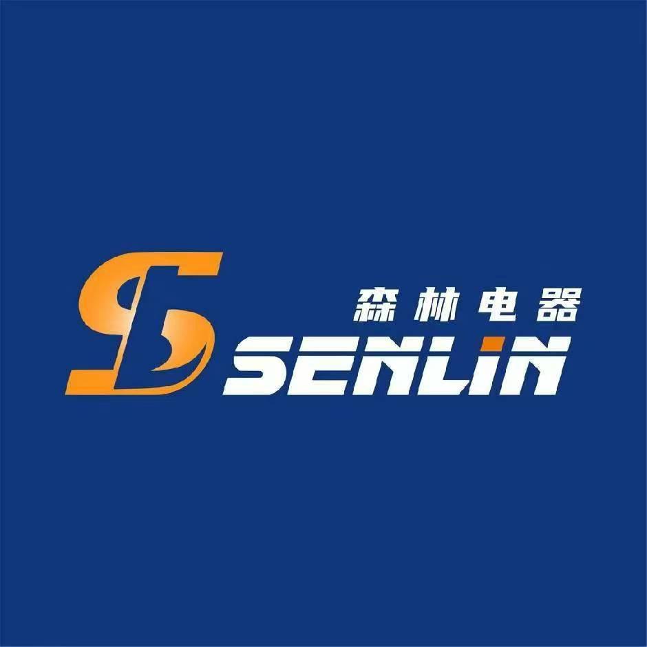 天长森林电器魏冲