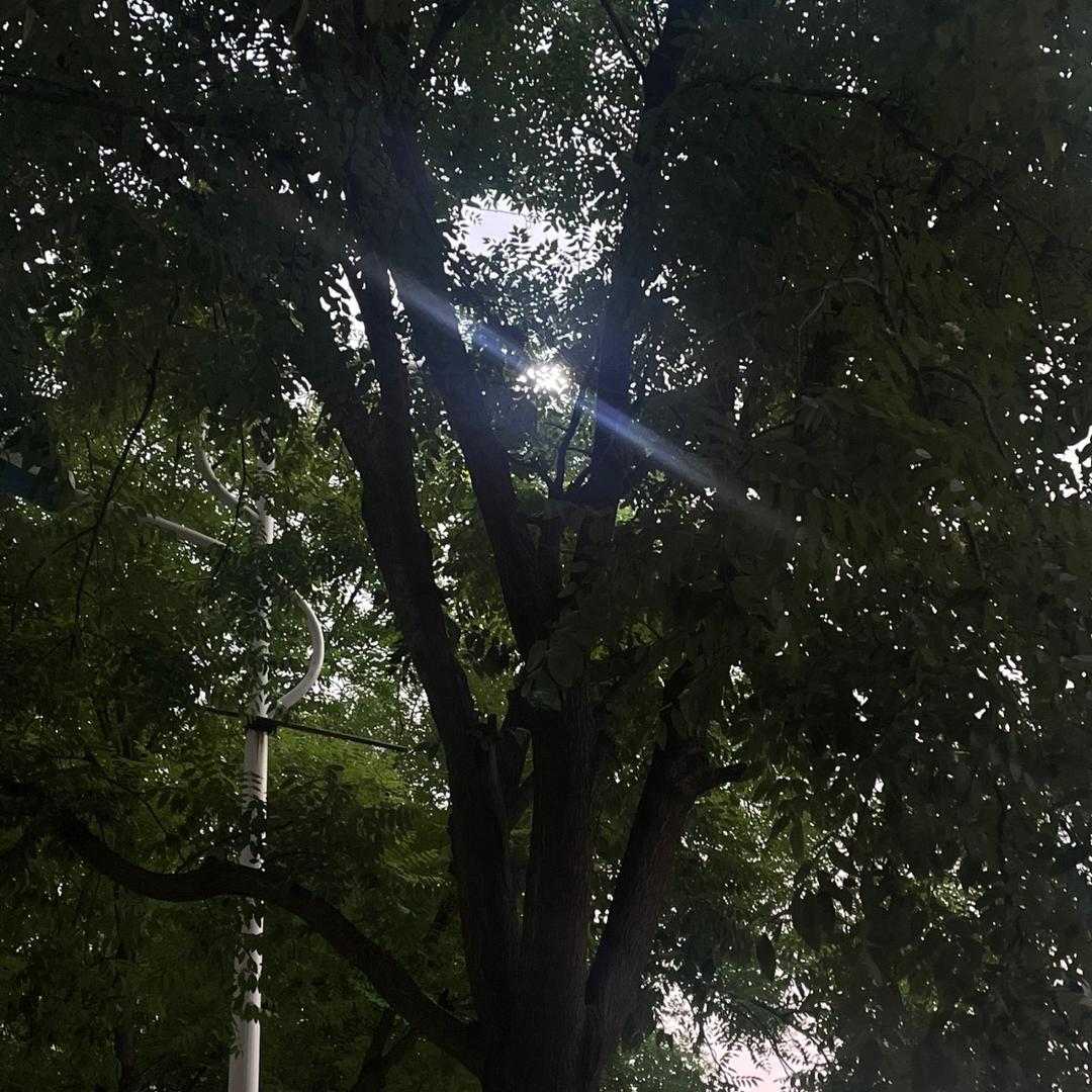 过不好
