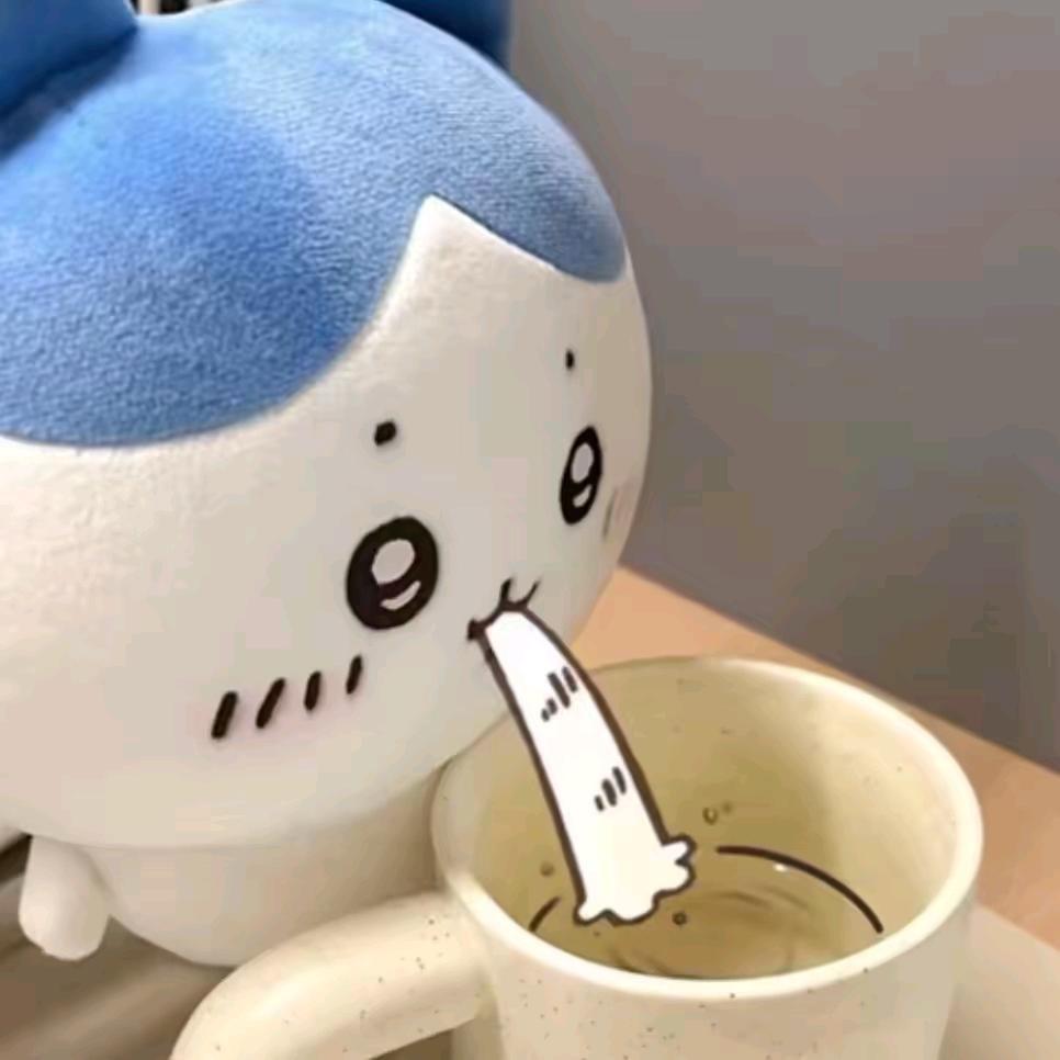 樂体育🏃（体育装备👔）