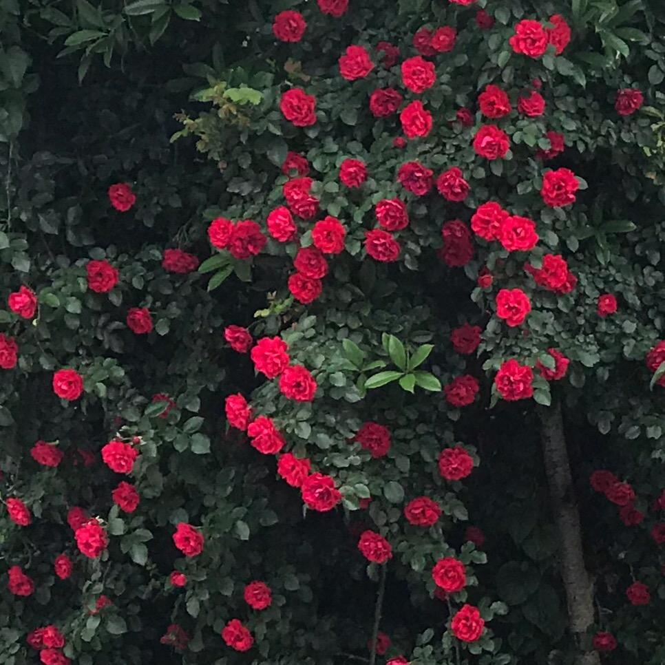 加油呀平安呀！！！