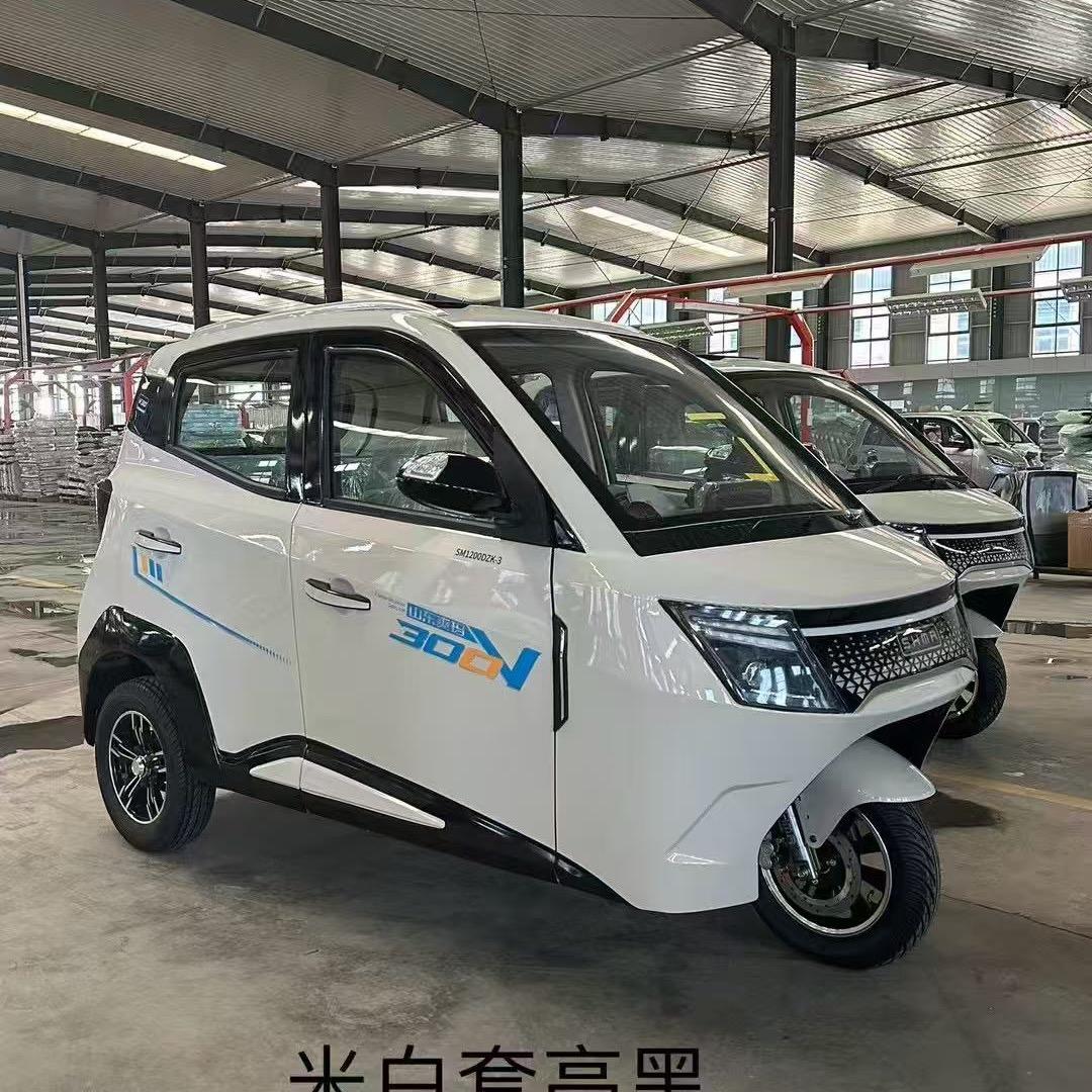 国标代步车🛺