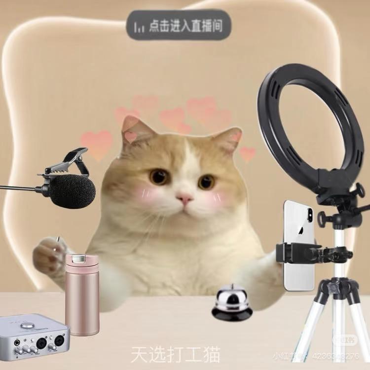 三个蛋蛋后