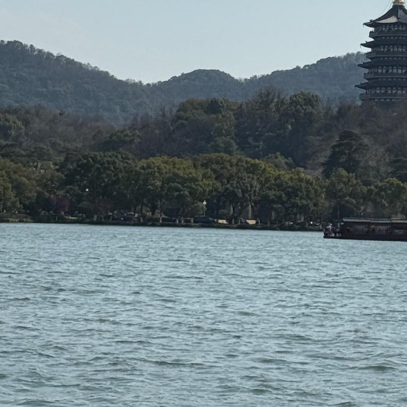 向往