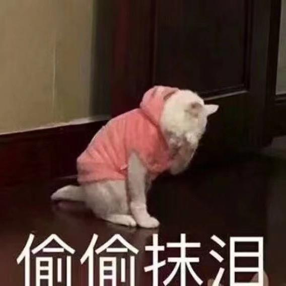 天马行空图图大人