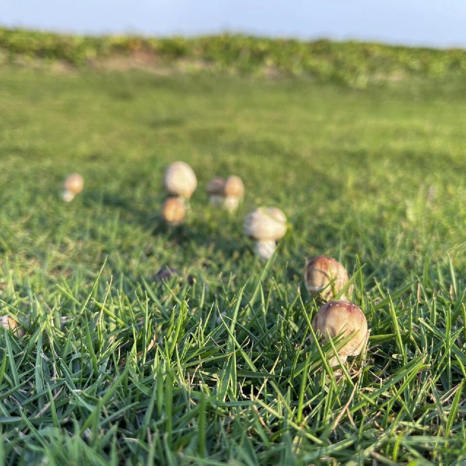 穿搭陈可爱