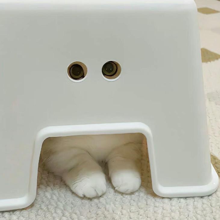少烦我了