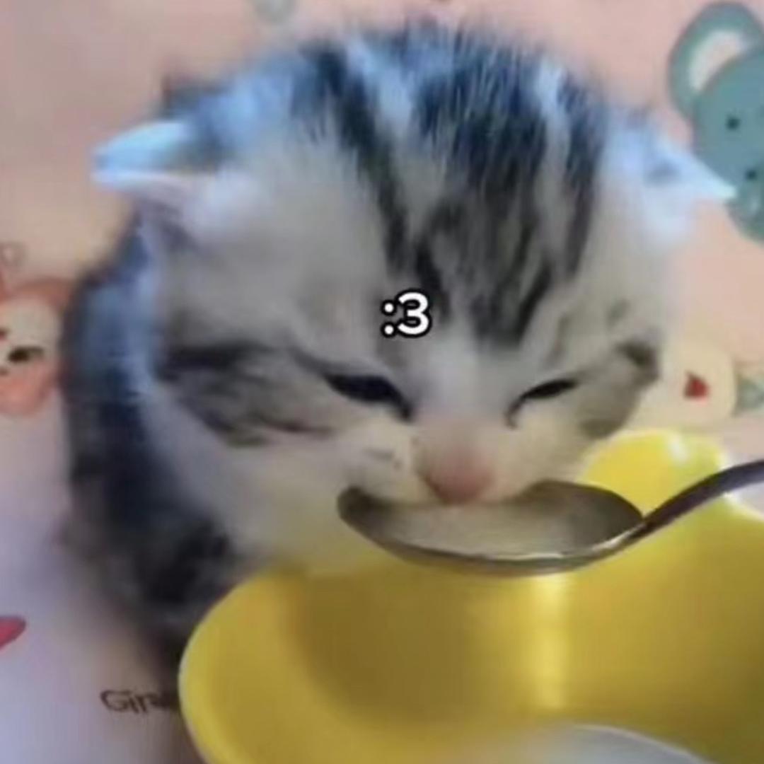 小兔松饼（团队招人中）