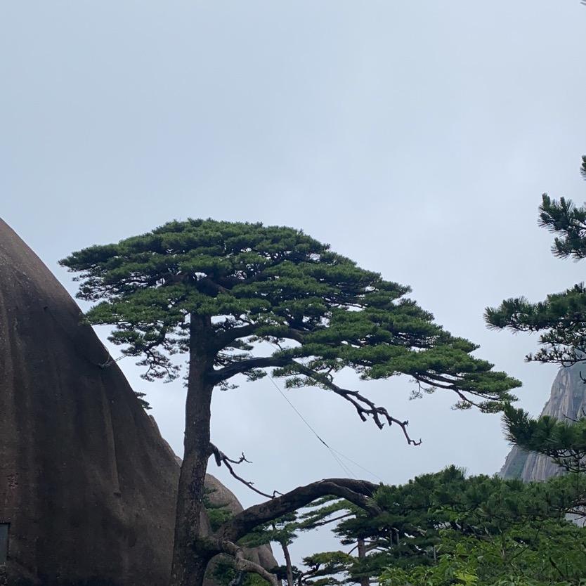 福建导游大明