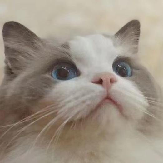 伦敦不是胖墩