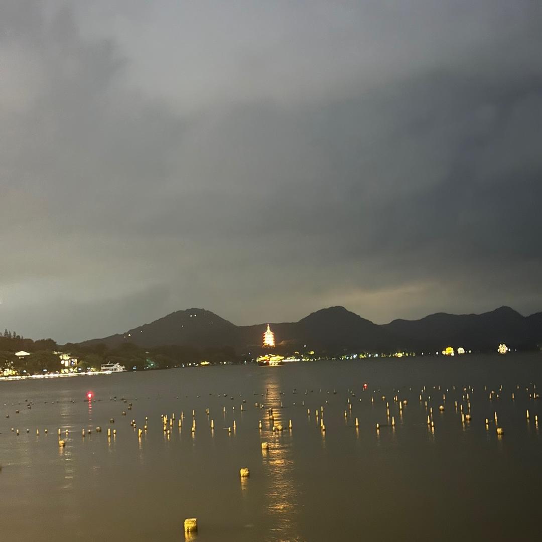 🌾无心自在🪽