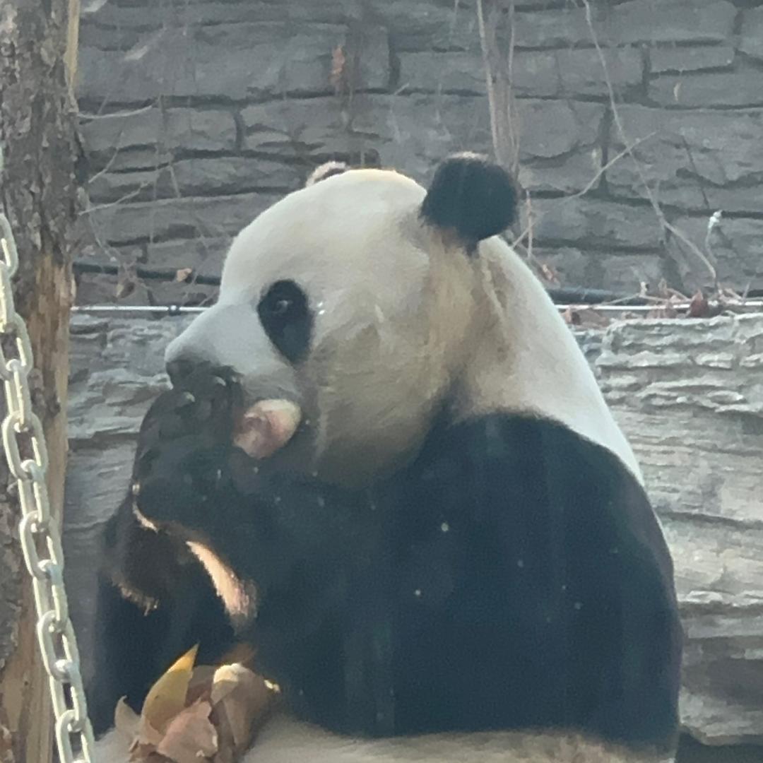 闹闹爱游戏