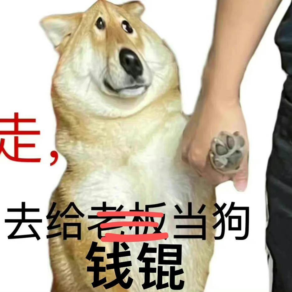 小狗杰诺